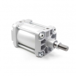 Пневмоцилиндр PMCA-125-050 Pemaks